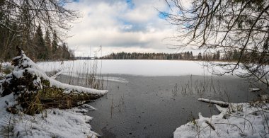 Koenigseggwald yakınlarındaki Hosskirch Gölü ve çevresindeki doğa koruma alanı etrafında kış yürüyüşü.