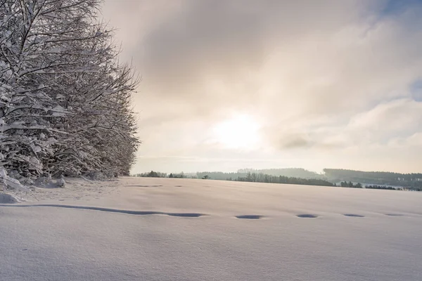 Fantastyczna Wycieczka Rakietach Śnieżnych Zimowej Krainie Czarów Nad Jeziorem Gehrenberg — Zdjęcie stockowe