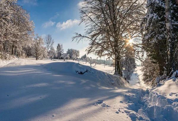 Fantastische Sneeuwschoenentocht Het Winterwonderland Aan Gehrenberg Bij Bodensee — Stockfoto