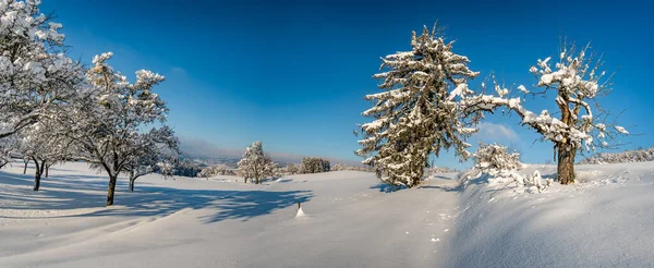 Fantastic Snowshoe Tour Winter Wonderland Gehrenberg Lake Constance — Stock Photo, Image