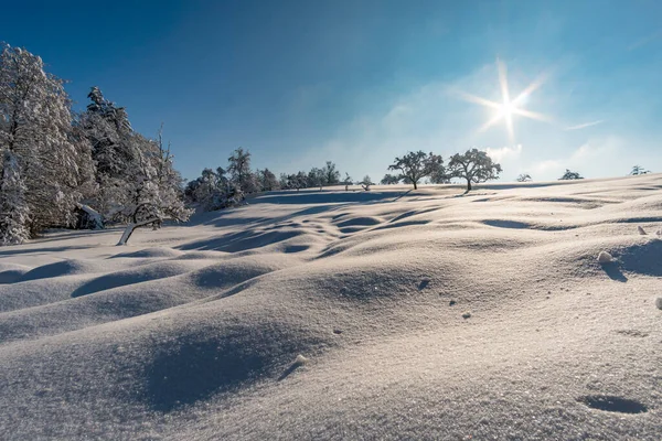 Fantastique Randonnée Raquettes Dans Pays Des Merveilles Hivernales Gehrenberg Près — Photo