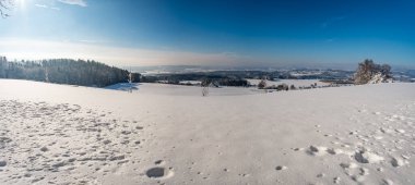 Constance Gölü yakınlarındaki Gehrenberg 'de kış harikalar diyarında harika bir kar ayakkabısı turu.
