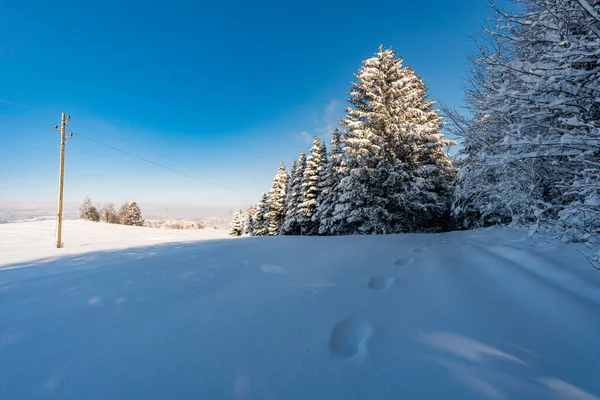 Fantastique Randonnée Raquettes Dans Pays Des Merveilles Hivernales Gehrenberg Près — Photo