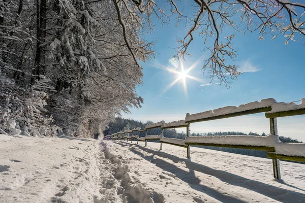 Fantastique Randonnée Raquettes Dans Pays Des Merveilles Hivernales Gehrenberg Près — Photo