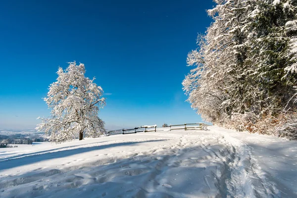 Fantastische Sneeuwschoenentocht Het Winterwonderland Aan Gehrenberg Bij Bodensee — Stockfoto