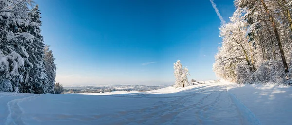 Fantastique Randonnée Raquettes Dans Pays Des Merveilles Hivernales Gehrenberg Près — Photo