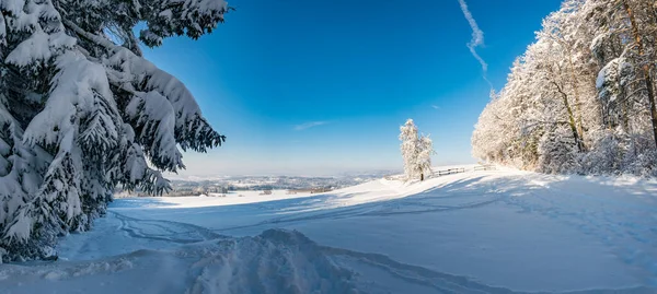 Fantastische Sneeuwschoenentocht Het Winterwonderland Aan Gehrenberg Bij Bodensee — Stockfoto