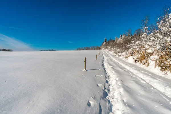 冬の不思議の国の素晴らしいスノーシューツアーレイクコンスタンス近くのゲーレンバーグ — ストック写真