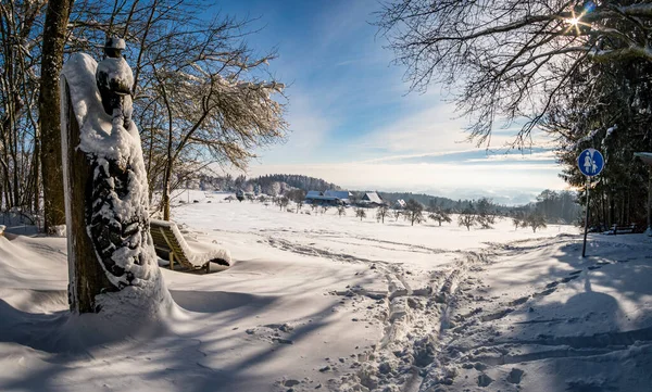 Fantastische Sneeuwschoenentocht Het Winterwonderland Aan Gehrenberg Bij Bodensee — Stockfoto