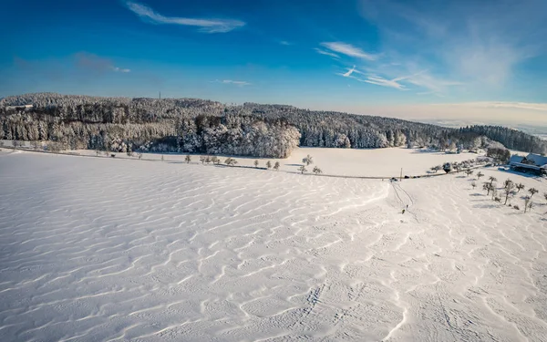 梦幻般的雪鞋之旅 在康斯坦茨湖附近的格伦贝格的冬季仙境中 — 图库照片