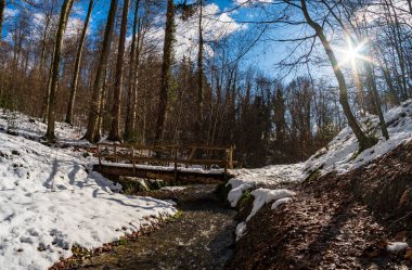 Constance Gölü 'ndeki Bermatingen tatil beldesi yakınlarında güzel bir kış yürüyüşü yolu.