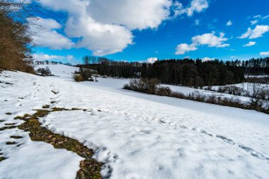 Constance Gölü 'ndeki Bermatingen tatil beldesi yakınlarında güzel bir kış yürüyüşü yolu.