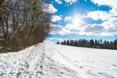 Constance Gölü 'ndeki Bermatingen tatil beldesi yakınlarında güzel bir kış yürüyüşü yolu.