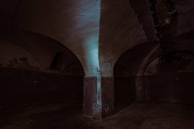 Orta Çağ 'dan kalma terk edilmiş eski bir korku şatosu.