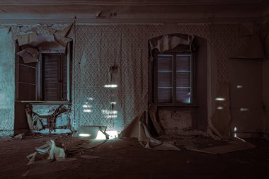 Orta Çağ 'dan kalma terk edilmiş eski bir korku şatosu.