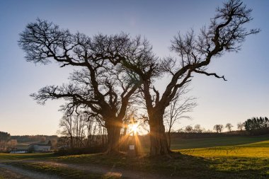 Wolfegg yakınlarındaki huzurlu köy Altdorf Ormanı 'nın yanında, Yukarı Bataklık' ın doğal mücevheri ve yeşil akciğeri.