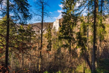Sigmaringen Gutenstein yakınlarındaki Tuna Vadisi 'nde bahar yürüyüşü