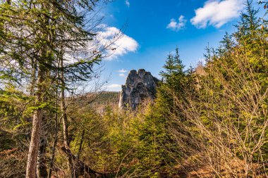 Sigmaringen Gutenstein yakınlarındaki Tuna Vadisi 'nde bahar yürüyüşü