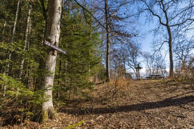 Sigmaringen Gutenstein yakınlarındaki Tuna Vadisi 'nde bahar yürüyüşü