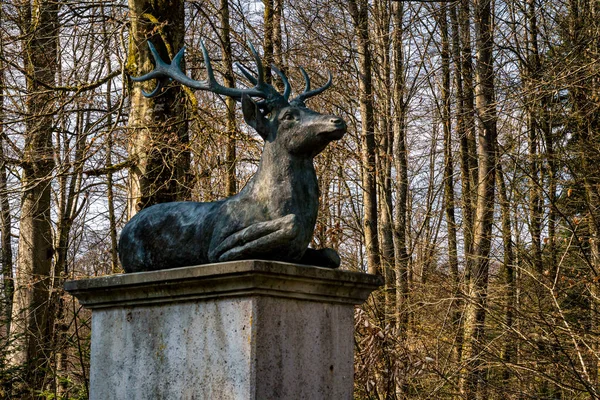 Jarní Túra Josefslust Divoké Zvěře Park Poblíž Sigmaringen Loviště Hohenzollern — Stock fotografie