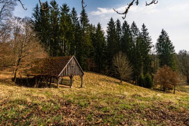 Sigmaringen yakınlarındaki Josefslust vahşi yaşam parkında bahar yürüyüşü, Hohenzollern prenslerinin av sahası.