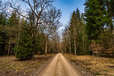 Sigmaringen yakınlarındaki Josefslust vahşi yaşam parkında bahar yürüyüşü, Hohenzollern prenslerinin av sahası.