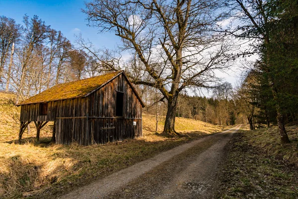 Passeio Primavera Pelo Parque Vida Selvagem Josefslust Perto Sigmaringen Terreno — Fotografia de Stock