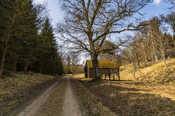 Spring hike through the Josefslust wildlife park near Sigmaringen, the hunting ground of the Hohenzollern princes