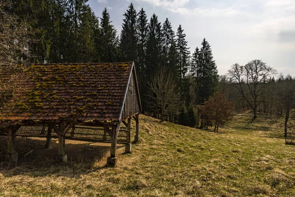 Passeio Primavera Pelo Parque Vida Selvagem Josefslust Perto Sigmaringen Terreno — Fotografia de Stock