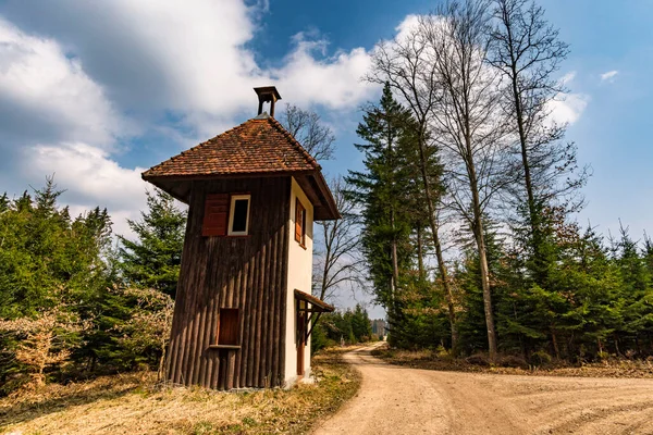 Spring hike through the Josefslust wildlife park near Sigmaringen, the hunting ground of the Hohenzollern princes