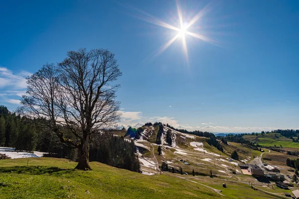 Bella Escursione Montagna Lungo Sentiero Premium Alpenfreiheit Vicino Oberstaufen Steibis — Foto Stock
