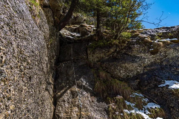 Όμορφη Ορειβασία Κατά Μήκος Του Alpenfreiheit Premium Trail Κοντά Στο — Φωτογραφία Αρχείου