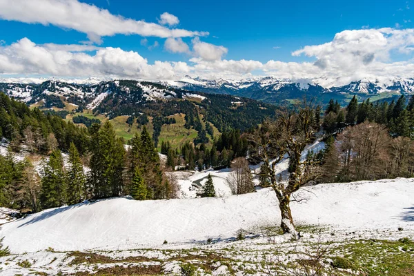 Imberg NagelfluhketteのOberstaufen Steibis近くのAlpenfreiheightプレミアムトレイル沿いの美しい山のハイキング — ストック写真