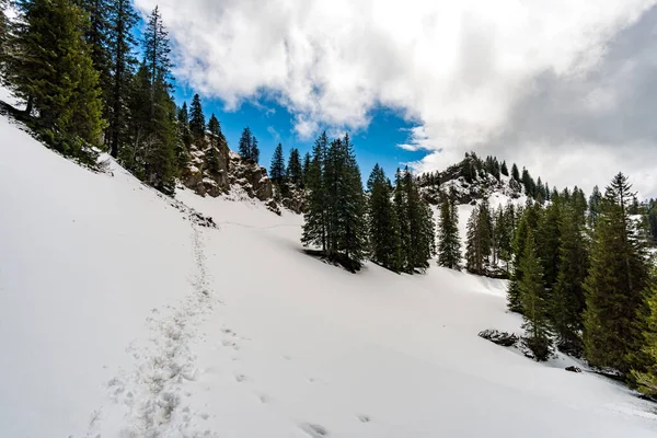 Bela Caminhada Montanha Longo Trilha Premium Alpenfreiheit Perto Oberstaufen Steibis — Fotografia de Stock