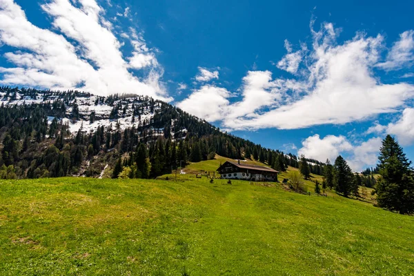 Krásná Horská Túra Podél Prémiové Stezky Alpenfreiheit Poblíž Oberstaufen Steibis — Stock fotografie