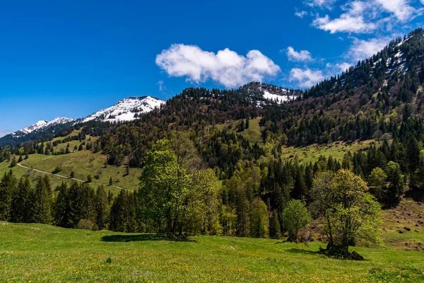 Imberg NagelfluhketteのOberstaufen Steibis近くのAlpenfreiheightプレミアムトレイル沿いの美しい山のハイキング — ストック写真