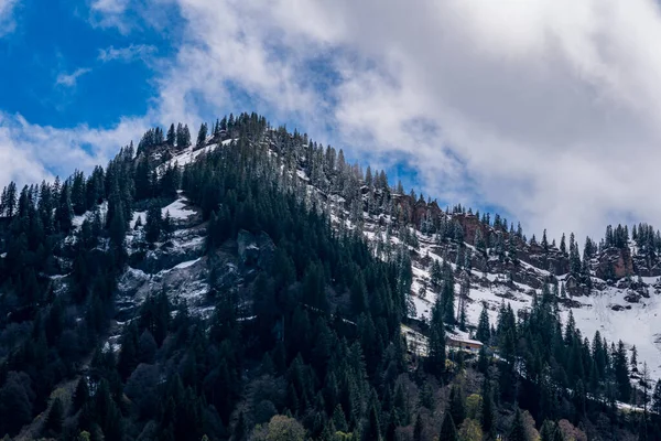 Schöne Bergwanderung Auf Dem Premiumweg Alpenfreiheit Bei Oberstaufen Steibis Imberg — Stockfoto