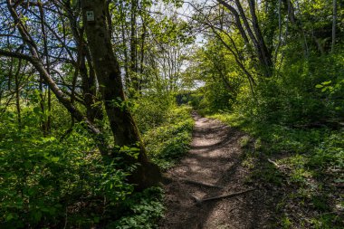 Markdorf yakınlarındaki Gehrenberg 'de Constance Gölü' ndeki yürüyüş parkurunun muhteşem manzarası.