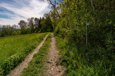 Markdorf yakınlarındaki Gehrenberg 'de Constance Gölü' ndeki yürüyüş parkurunun muhteşem manzarası.