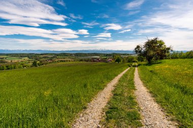 Markdorf yakınlarındaki Gehrenberg 'de Constance Gölü' ndeki yürüyüş parkurunun muhteşem manzarası.
