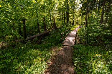 Markdorf yakınlarındaki Gehrenberg 'de Constance Gölü' ndeki yürüyüş parkurunun muhteşem manzarası.
