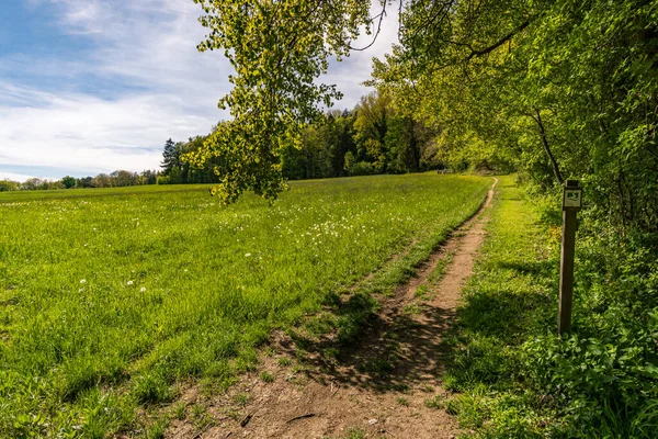 Markdorf yakınlarındaki Gehrenberg 'de Constance Gölü' ndeki yürüyüş parkurunun muhteşem manzarası.
