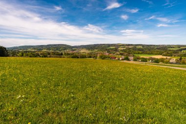 Markdorf yakınlarındaki Gehrenberg 'de Constance Gölü' ndeki yürüyüş parkurunun muhteşem manzarası.