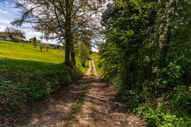 Markdorf yakınlarındaki Gehrenberg 'de Constance Gölü' ndeki yürüyüş parkurunun muhteşem manzarası.