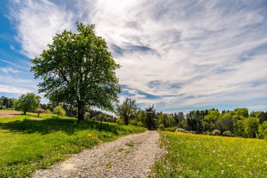 Markdorf yakınlarındaki Gehrenberg 'de Constance Gölü' ndeki yürüyüş parkurunun muhteşem manzarası.