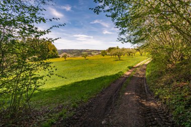Markdorf yakınlarındaki Gehrenberg 'de Constance Gölü' ndeki yürüyüş parkurunun muhteşem manzarası.