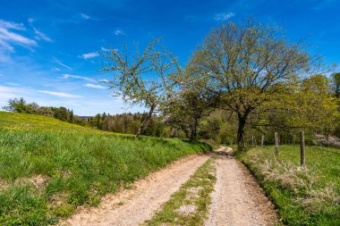 Markdorf yakınlarındaki Gehrenberg 'de Constance Gölü' ndeki yürüyüş parkurunun muhteşem manzarası.