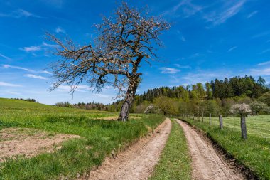 Markdorf yakınlarındaki Gehrenberg 'de Constance Gölü' ndeki yürüyüş parkurunun muhteşem manzarası.