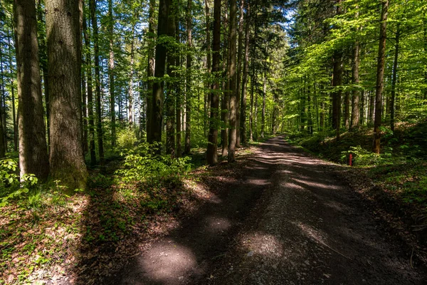 Fantastické Výhledy Prémiovou Turistické Stezky Gehrenbergu Markdorfu Bodamského Jezera — Stock fotografie