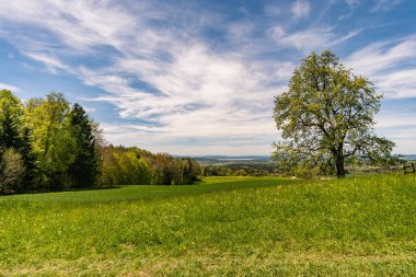 Markdorf yakınlarındaki Gehrenberg 'de Constance Gölü' ndeki yürüyüş parkurunun muhteşem manzarası.